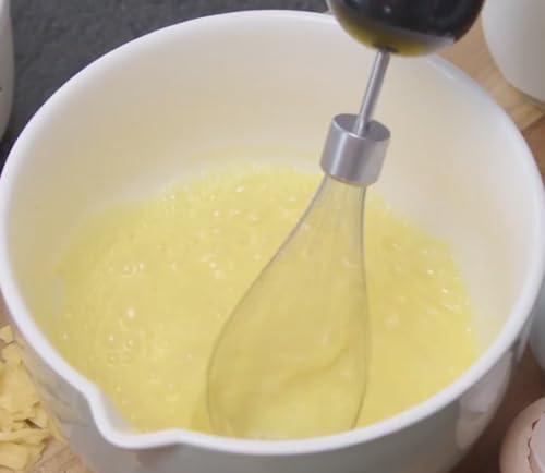 Ganiza Whisk Replacement for GH10 & WH10 Hand Blender