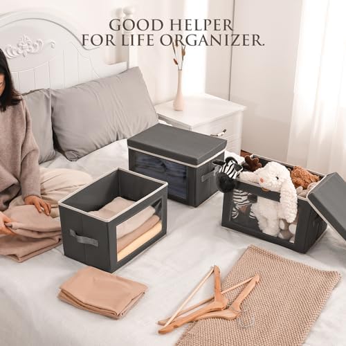 Homsorout 3 Pack & 6 Pack Storage Bins with Lids - Fabric Storage Boxes with Lids, Collapsible Storage Bins with Window, Decorative Closet Organizers and Storage for Clothes, Towels, Books
