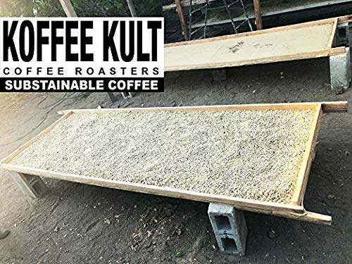Koffee Kult Medium Roast Decaf Coffee Beans, Colombian Single Origin 100% Arabica Naturally Swiss Water Process Chemical Free - 32oz Resealable package