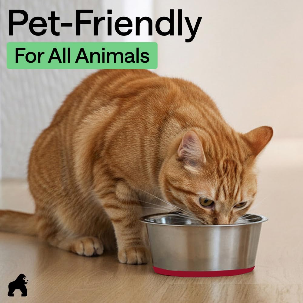 GORILLA GRIP Dog Bowls, Heavy Duty 304 Stainless Steel, Holds 2 Cups Each (16 fl oz) Food and Water Bowl for Feeding Dogs and Cats, Dishwasher Safe, Rust Resistant, BPA Free Rubber Base Set of 2 Black