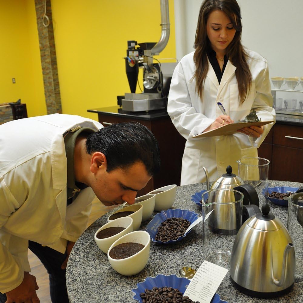 2LB Subtle Earth Organic Coffee - Dark Roast - Whole Bean Coffee - 100% Arabica Beans - Low Acidity and Non-GMO - 2lb bag