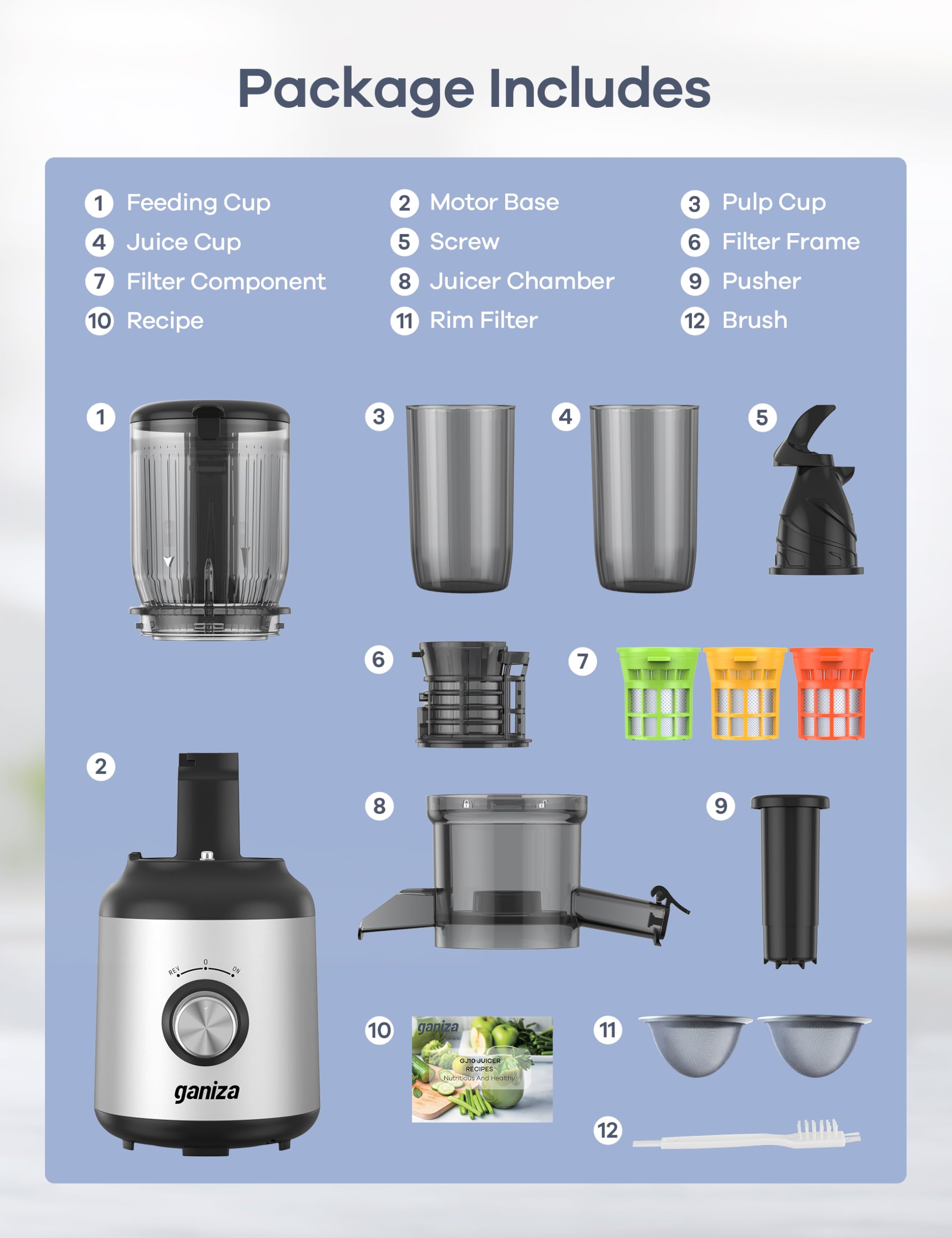 Ganiza Juicer Machines, Slow Masticating Juicers with Large Feed Chute for Whole Fruits & Vegetables, Cold Press Juicer with 3 Replace Filters for Batch Juicing, Easy to Clean, BPA Free(Silver)