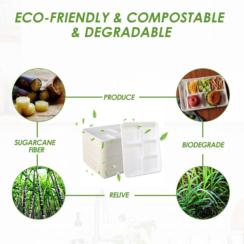 Vplus 100% Compostable 6 Compartment Plates, 90 Pack Compartment Paper Plate, 12.5x8.6 inch Disposable School Lunch Trays, Eco-Friendly Bagasse Plates for School Lunch, Buffet, and Party