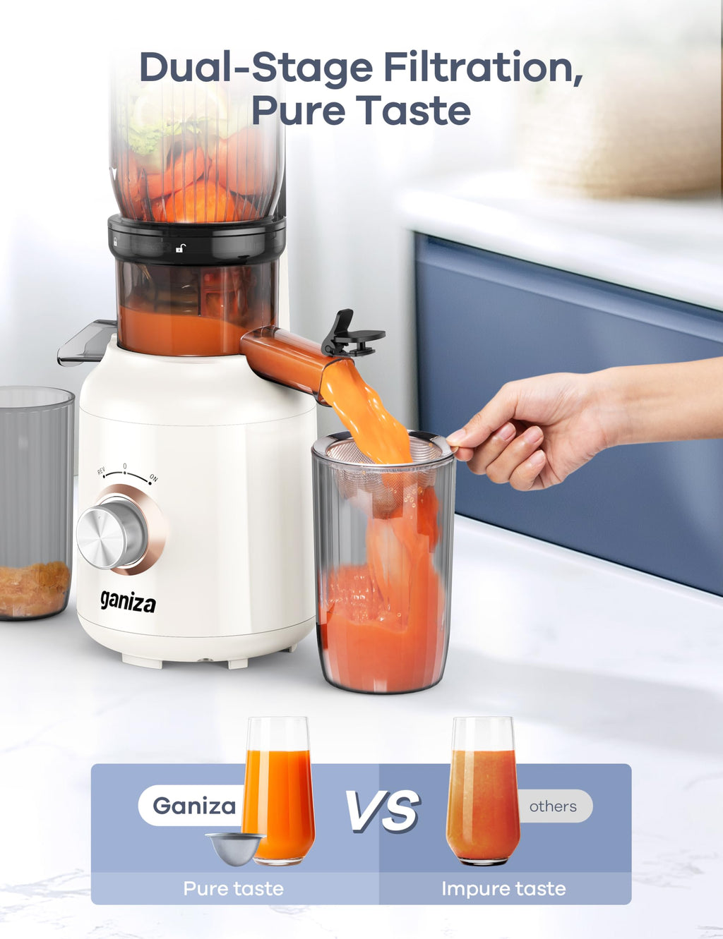 Ganiza Juicer Machines, Slow Masticating Juicers with Large Feed Chute for Whole Fruits & Vegetables, Cold Press Juicer with 3 Replace Filters for Batch Juicing, Easy to Clean, BPA Free(Silver)