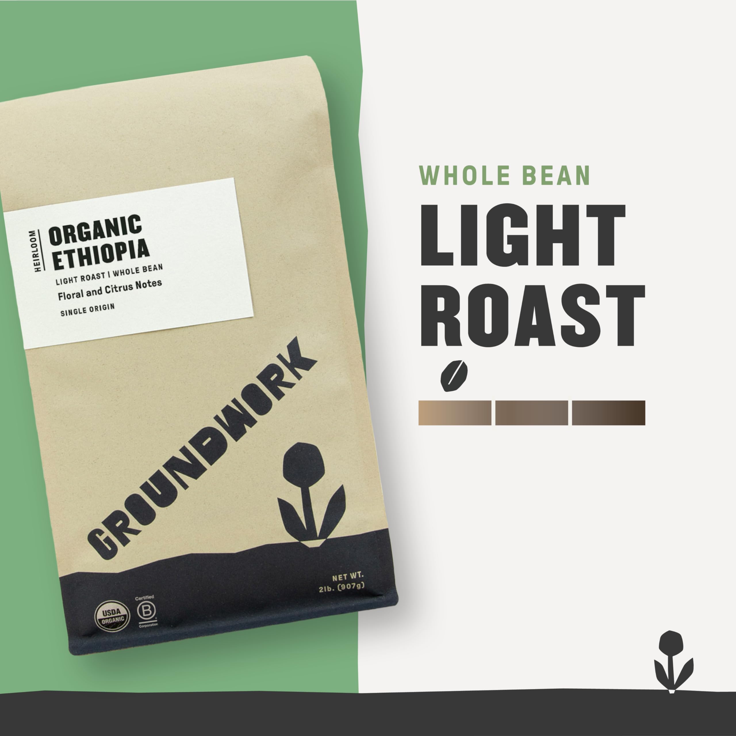 GROUNDWORK Ethiopia Heirloom Blend - Whole Bean Coffee Light Roast - USDA Organic Single Origin Coffee - 12oz (Pack of 1)