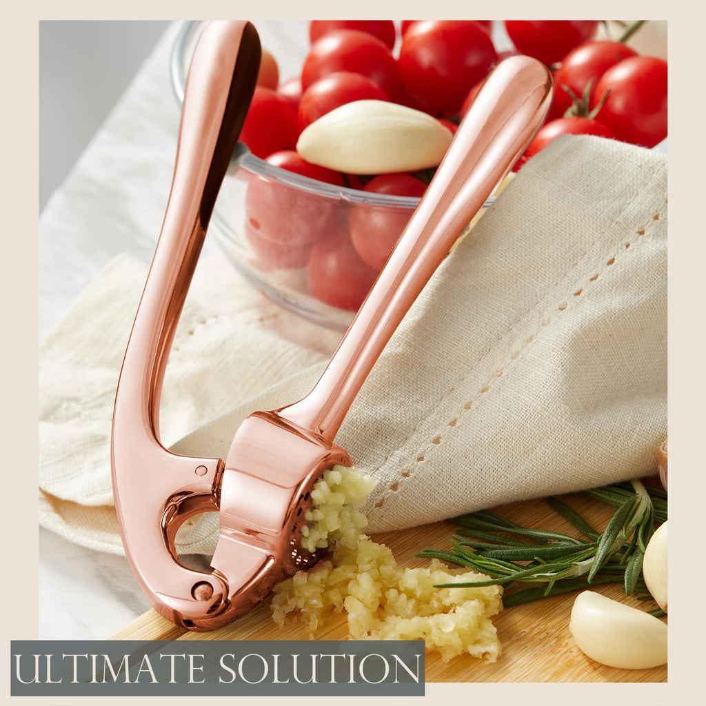 Kitessensu High Effective Garlic Press With Studs, Heavy Duty Garlic Mincer, Easy to Squeeze and Clean, Rust Proof & Dishwasher Safe, Ginger Crusher- Imperial Silver