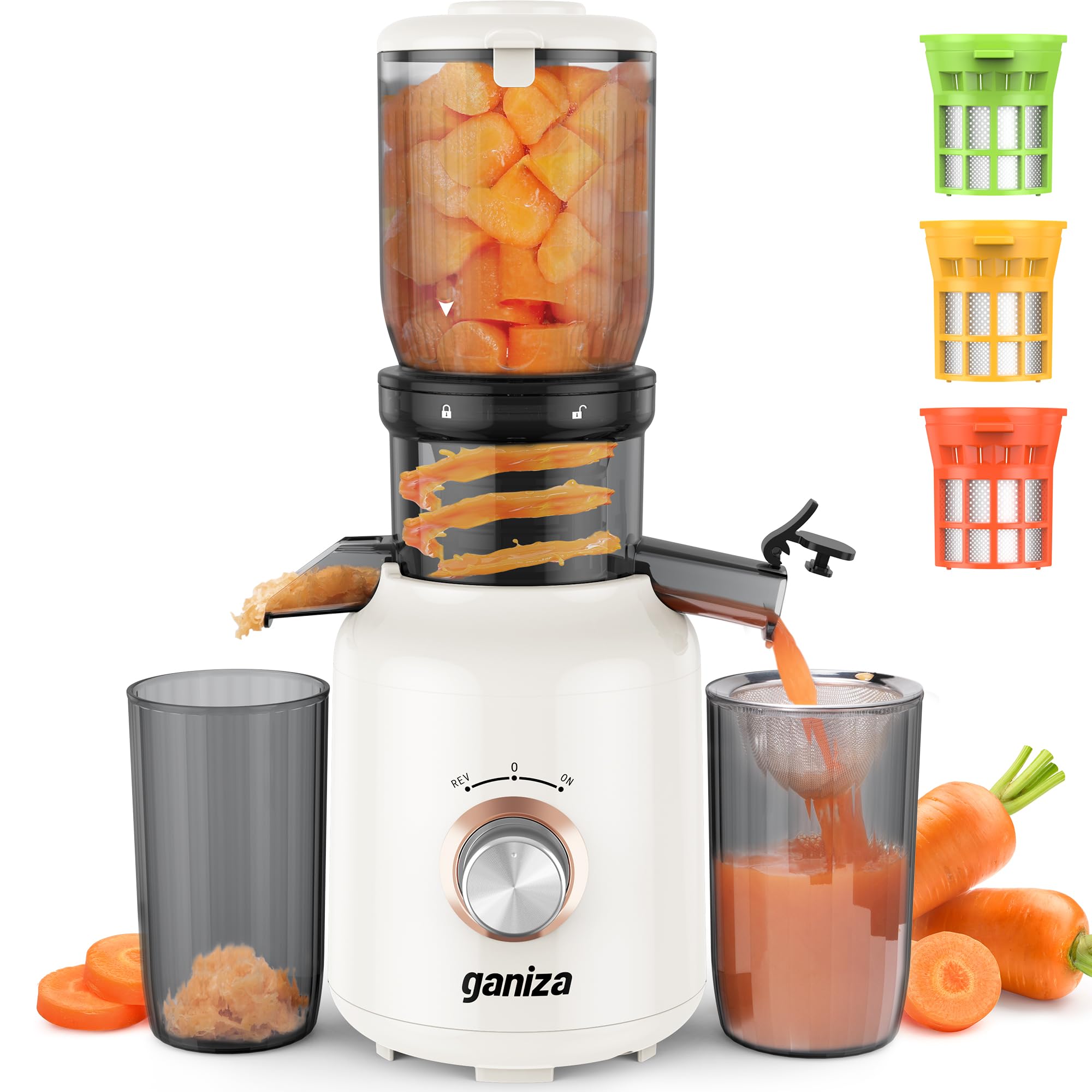 Ganiza Juicer Machines, Slow Masticating Juicers with Large Feed Chute for Whole Fruits & Vegetables, Cold Press Juicer with 3 Replace Filters for Batch Juicing, Easy to Clean, BPA Free(Silver)