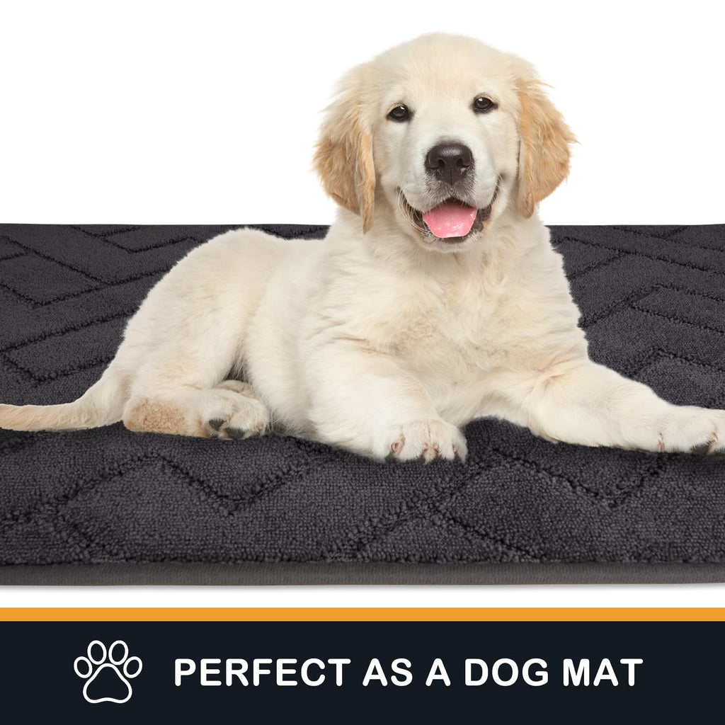 PURRUGS Dirt Trapping Door Mat 20" x 31.5", Non-Slip Machine Washable Entry Rug, Dog Doormat, Indoor Front Door Mat, Super Absorbent Entryway Rug for Muddy Shoes & Paws, Taupe