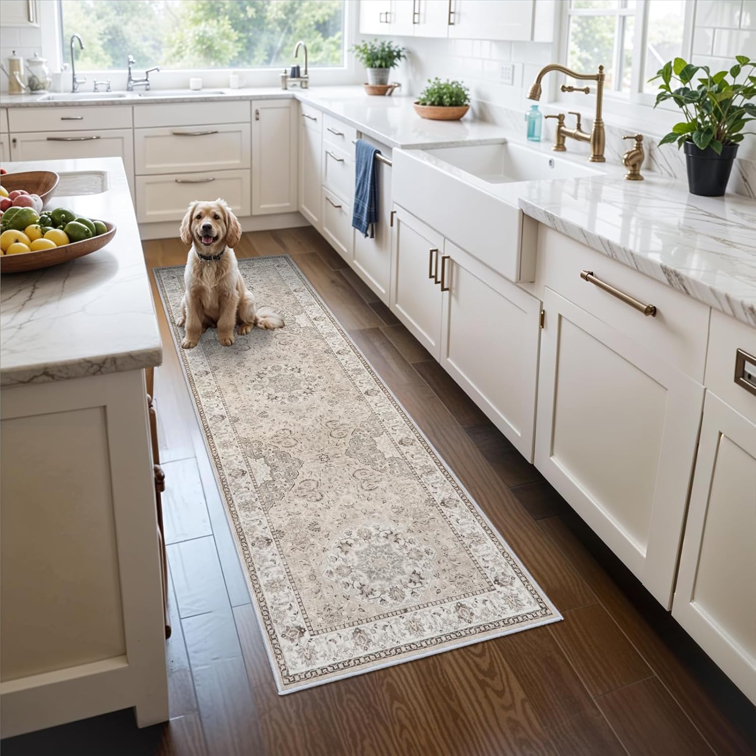 Washable 2x3 Entryway Area Rug - Neutral Kitchen Rug Runner Vintage Soft Floor Mat Non Slip Indoor Farmhouse Carpet for Bathroom Living Room Bedroom (2 X 3, Beige)