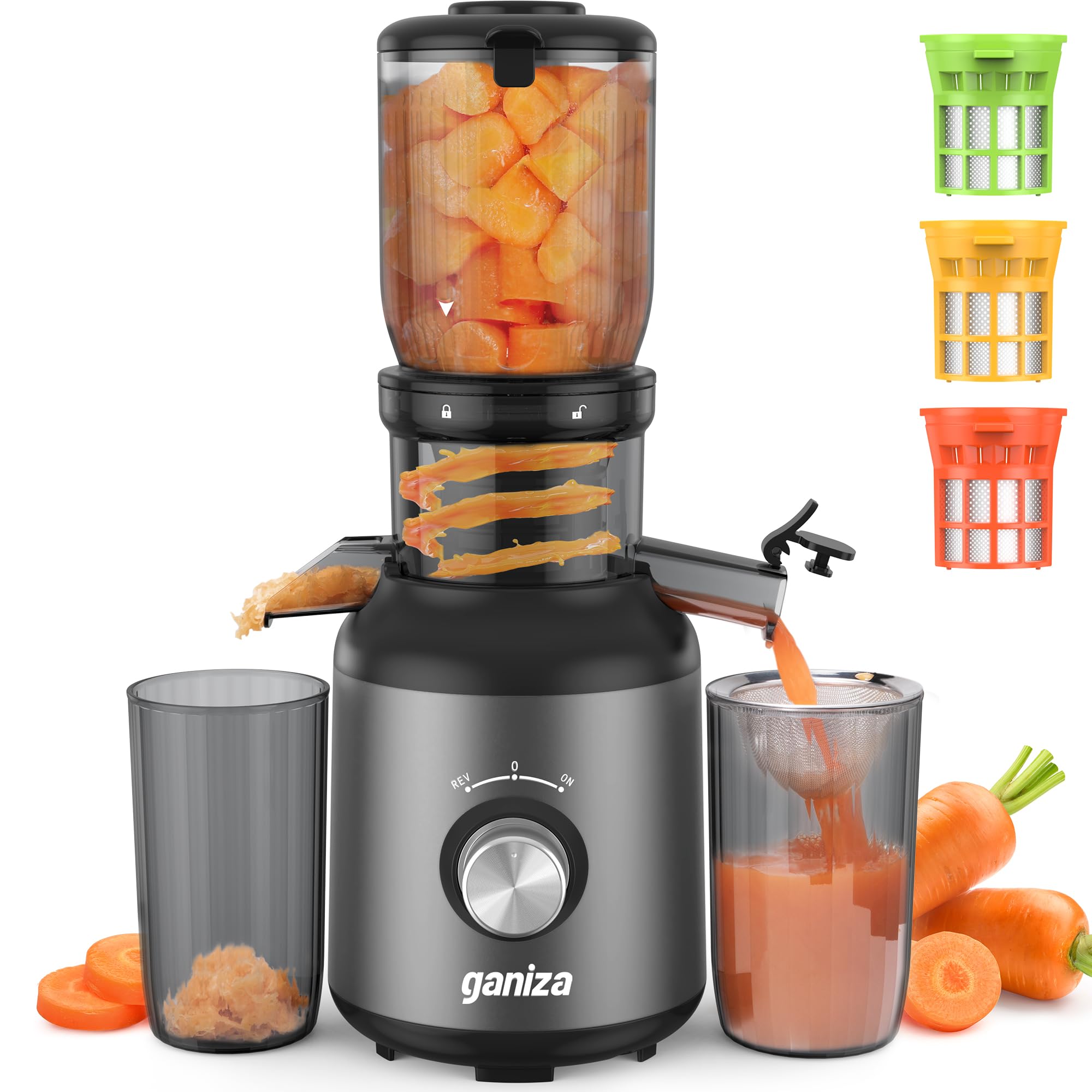 Ganiza Juicer Machines, Slow Masticating Juicers with Large Feed Chute for Whole Fruits & Vegetables, Cold Press Juicer with 3 Replace Filters for Batch Juicing, Easy to Clean, BPA Free(Silver)