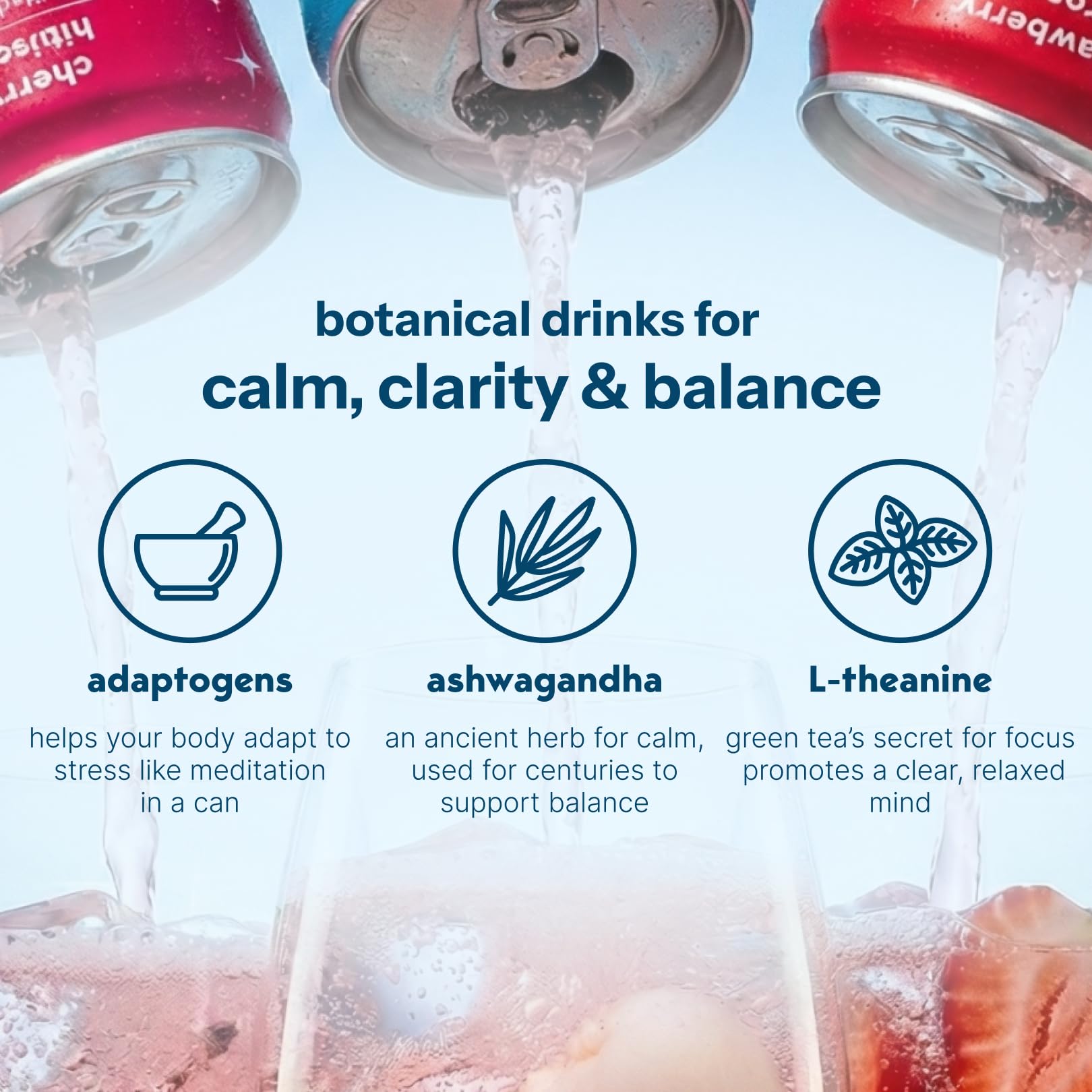 Moment Botanical Soda (Shark Tank) - Calm, Clarity & Relaxation with L-Theanine & Ashwagandha - Non Alcoholic Drinks for Adults - Sparkling Adaptogen Drink - 0 Sugar 0 Caffeine - 12 Pack 11.5 fl oz