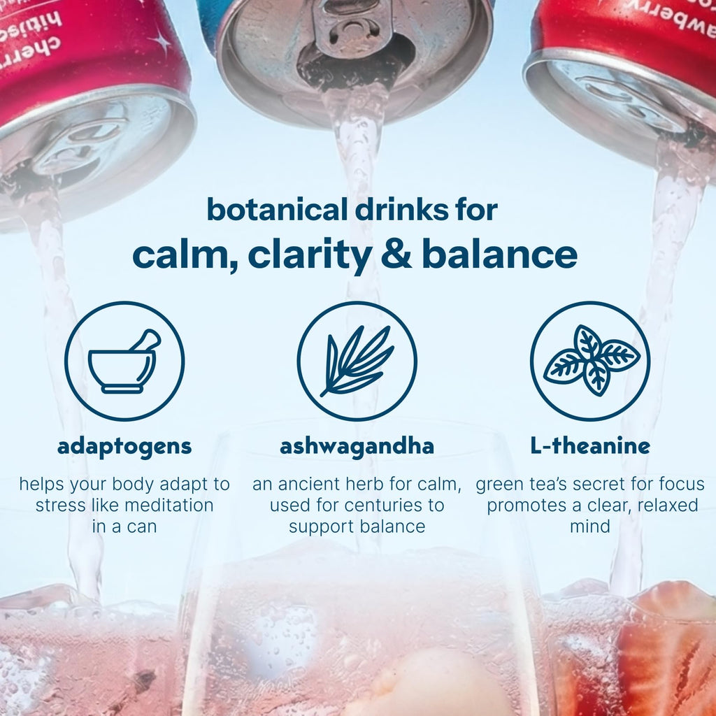 Moment Botanical Soda (Shark Tank) - Calm, Clarity & Relaxation with L-Theanine & Ashwagandha - Non Alcoholic Drinks for Adults - Sparkling Adaptogen Drink - 0 Sugar 0 Caffeine - 12 Pack 11.5 fl oz