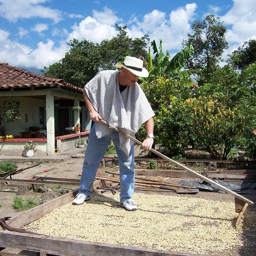 2LB Subtle Earth Organic Coffee - Dark Roast - Whole Bean Coffee - 100% Arabica Beans - Low Acidity and Non-GMO - 2lb bag