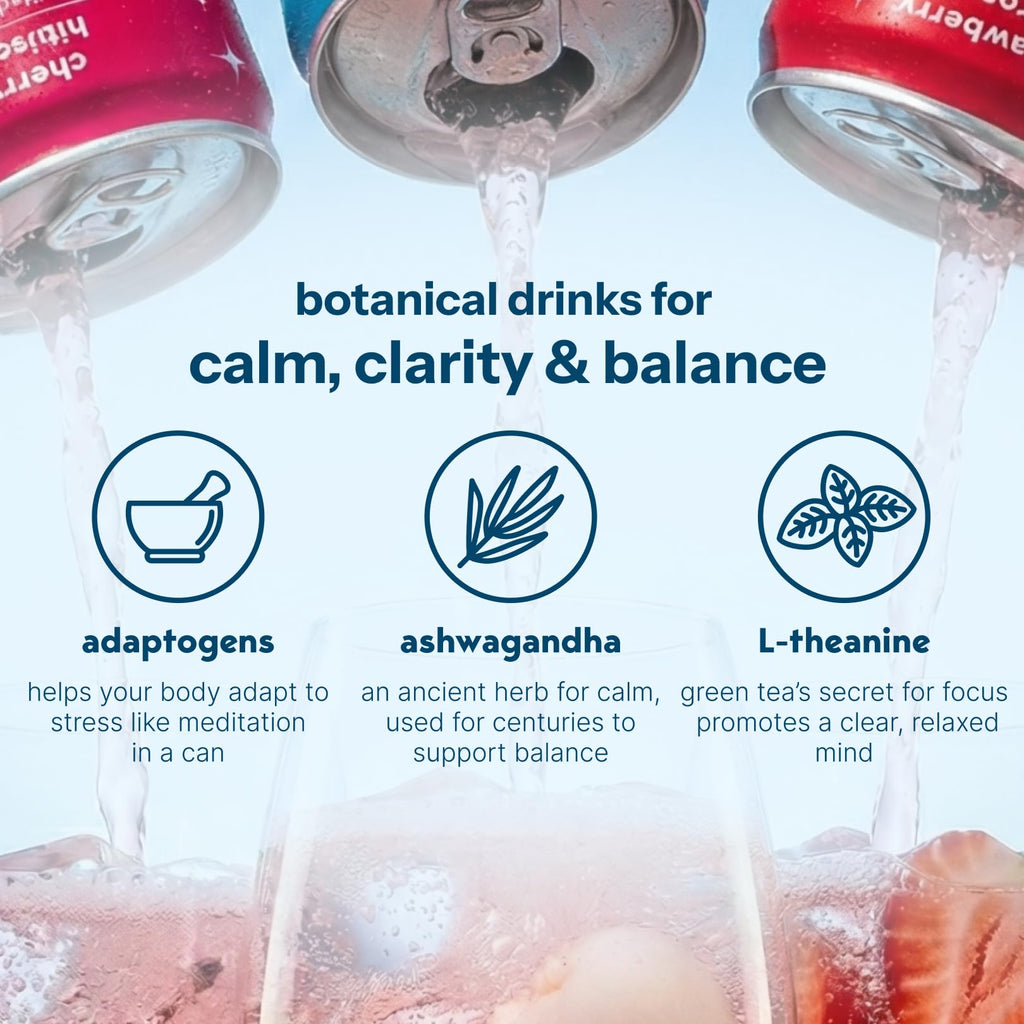 Moment Mocktails Non-Alcoholic Drinks (Shark Tank) - Calm, Clarity & Relaxation with L-Theanine & Ashwagandha - Sparkling Adaptogen Drink - 0 Sugar 0 Caffeine - 12 Pack 11.5 fl oz - Classics