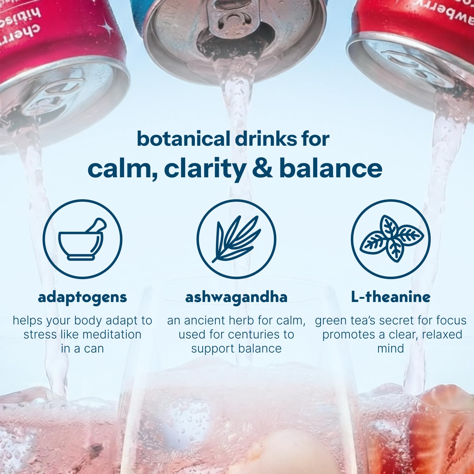 Moment Mocktails Non-Alcoholic Drinks (Shark Tank) - Calm, Clarity & Relaxation with L-Theanine & Ashwagandha - Sparkling Adaptogen Drink - 0 Sugar 0 Caffeine - 12 Pack 11.5 fl oz - Classics