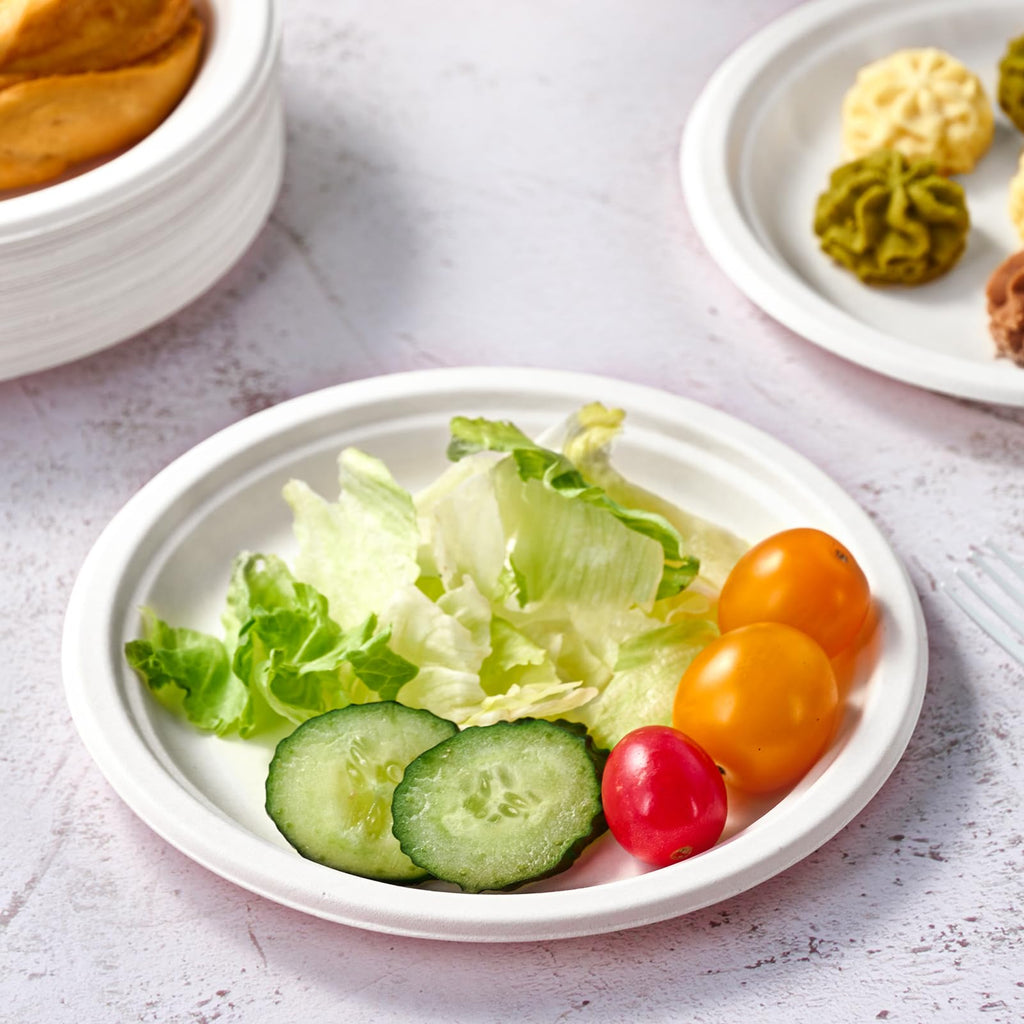 Vplus 150 Pack Compostable Disposable Paper Plates 10.25 inch Super Strong Paper Plates 100% Bagasse Natural Biodegradable Eco-Friendly Sugarcane(white)