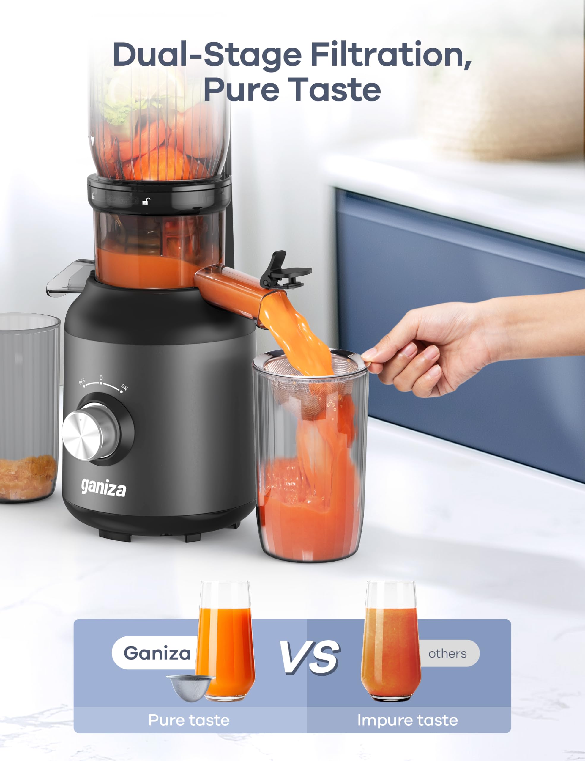 Ganiza Juicer Machines, Slow Masticating Juicers with Large Feed Chute for Whole Fruits & Vegetables, Cold Press Juicer with 3 Replace Filters for Batch Juicing, Easy to Clean, BPA Free(Silver)