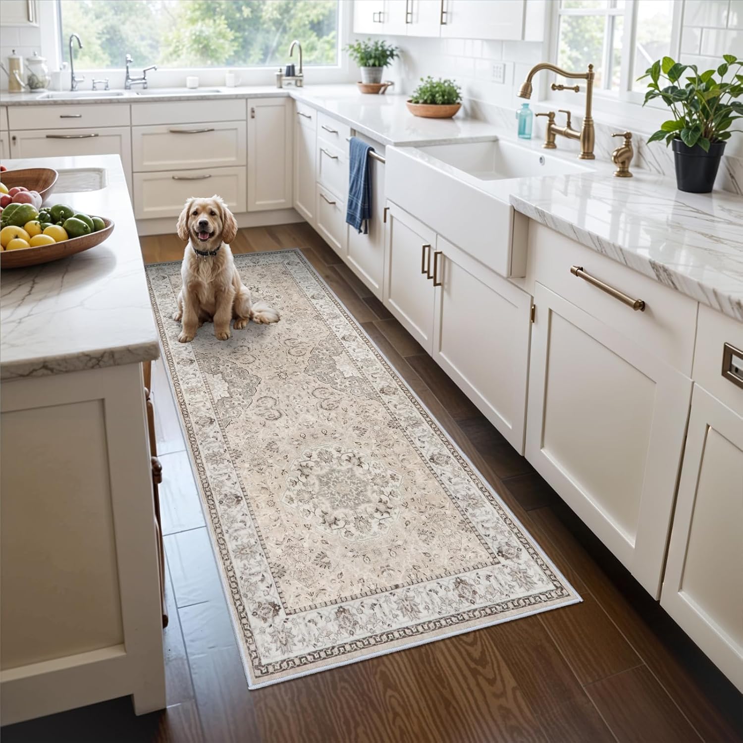 Washable 2x3 Entryway Area Rug - Neutral Kitchen Rug Runner Vintage Soft Floor Mat Non Slip Indoor Farmhouse Carpet for Bathroom Living Room Bedroom (2 X 3, Beige)