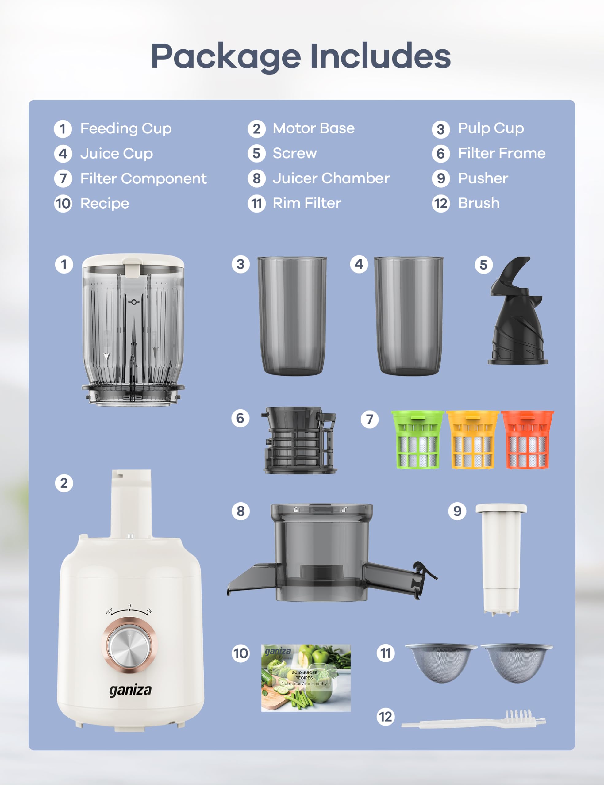 Ganiza Juicer Machines, Slow Masticating Juicers with Large Feed Chute for Whole Fruits & Vegetables, Cold Press Juicer with 3 Replace Filters for Batch Juicing, Easy to Clean, BPA Free(Silver)