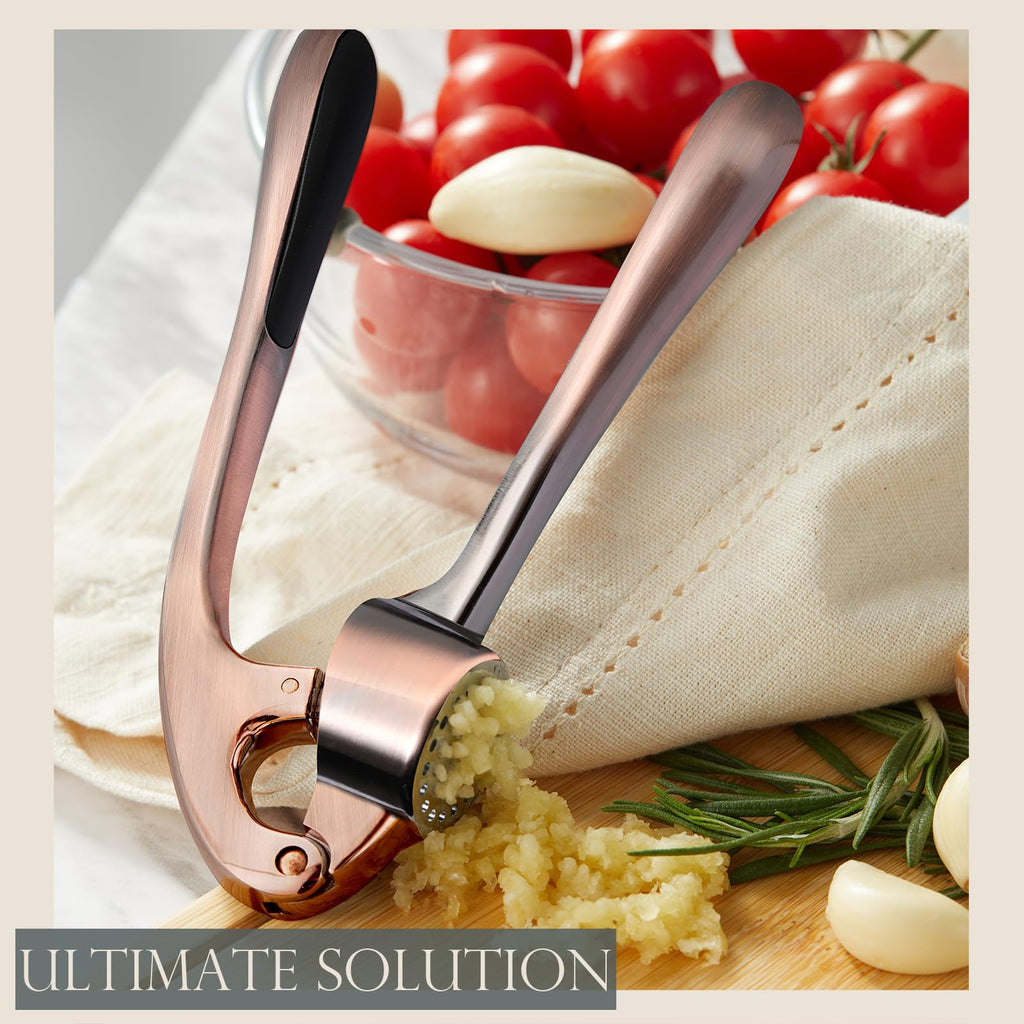 Kitessensu High Effective Garlic Press With Studs, Heavy Duty Garlic Mincer, Easy to Squeeze and Clean, Rust Proof & Dishwasher Safe, Ginger Crusher- Imperial Silver