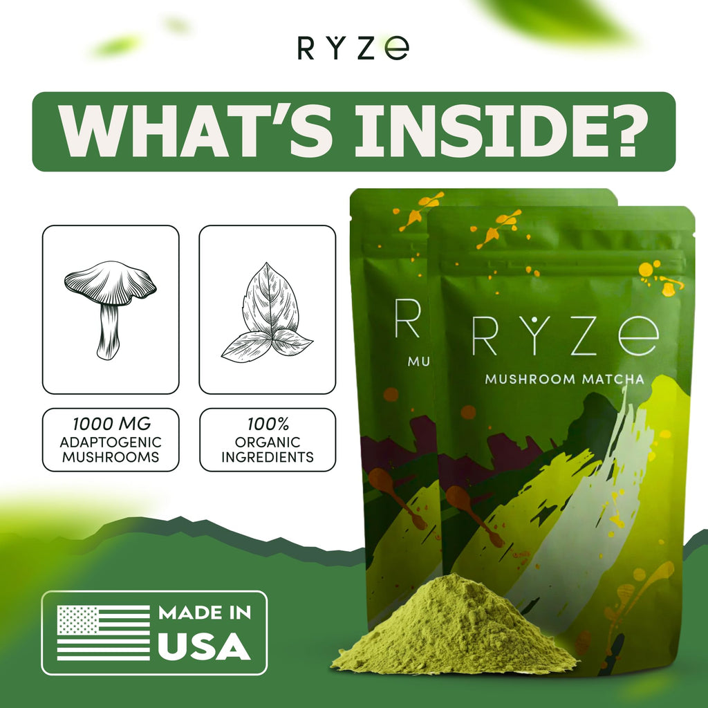 RYZE SUPERFOODS Mushroom Matcha Starter Kit, USDA Organic with 6 Adaptogenic Mushrooms and Ceremonial-Grade Matcha, Energy, Focus, Digestion, Immunity with Turkey Tail, Shiitake, Reishi (Matcha (Pack of 1))