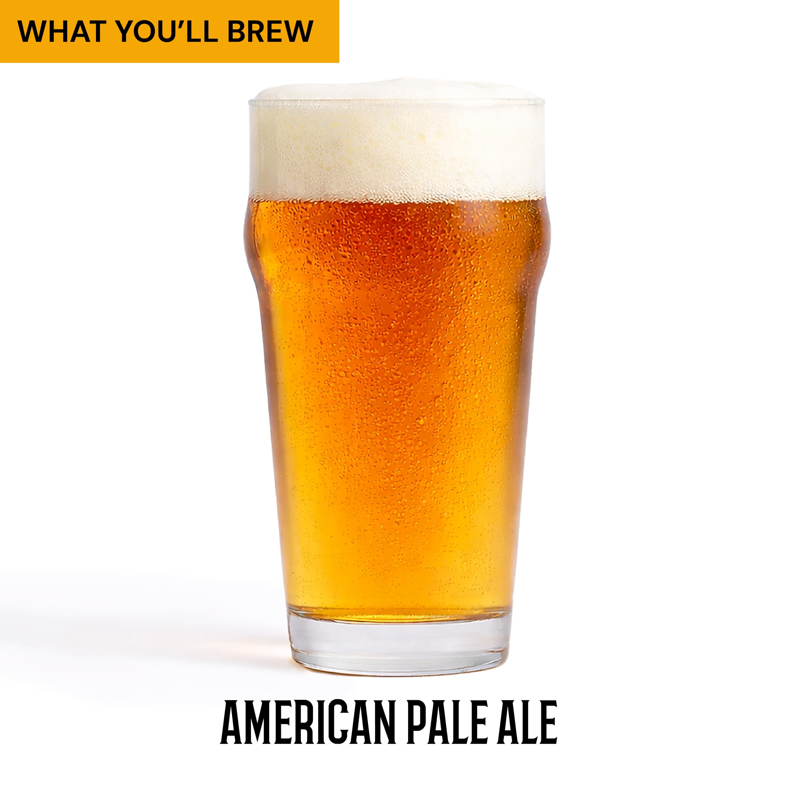 Craft A Brew - American Pale Ale - Beer Making Kit - Make Your Own Craft Beer - Complete Equipment and Supplies - Starter Home Brewing Kit - 1 Gallon