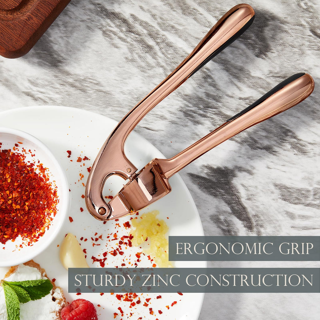 Kitessensu High Effective Garlic Press With Studs, Heavy Duty Garlic Mincer, Easy to Squeeze and Clean, Rust Proof & Dishwasher Safe, Ginger Crusher- Imperial Silver