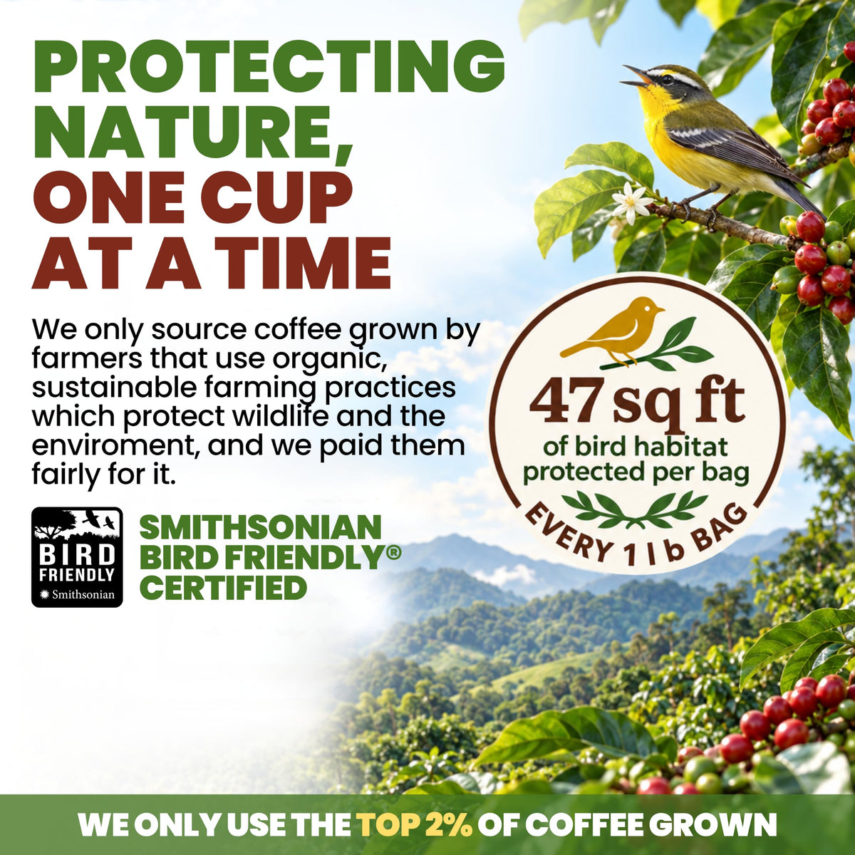 Java Planet Low Acid Organic Espresso Whole Bean Coffee 16oz