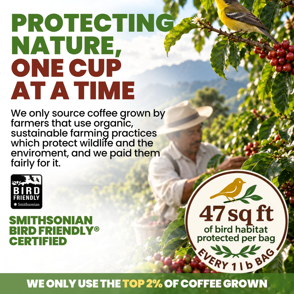 Java Planet Low Acid Organic Espresso Whole Bean Coffee 16oz