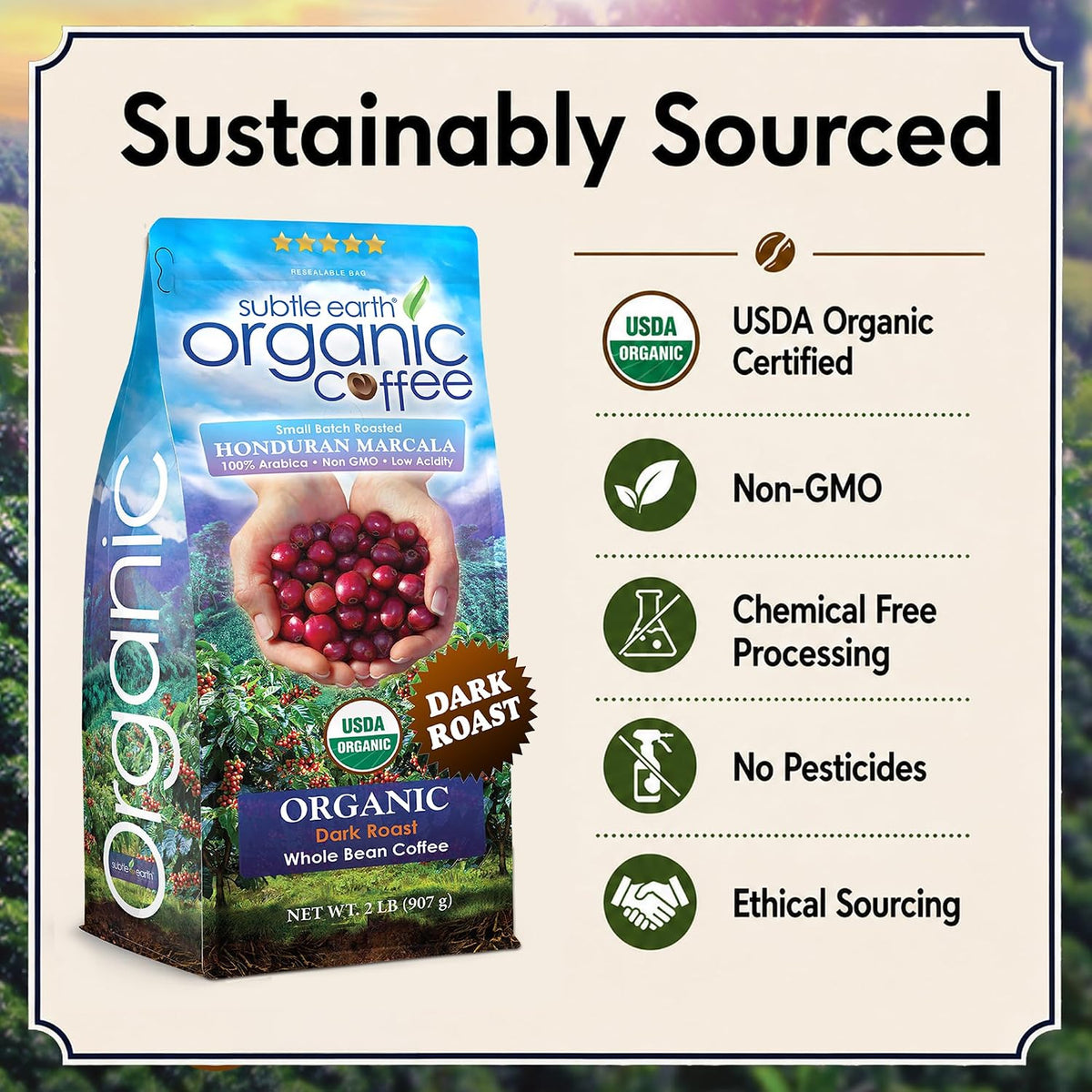 2LB Subtle Earth Organic Coffee - Dark Roast - Whole Bean Coffee - 100% Arabica Beans - Low Acidity and Non-GMO - 2lb bag