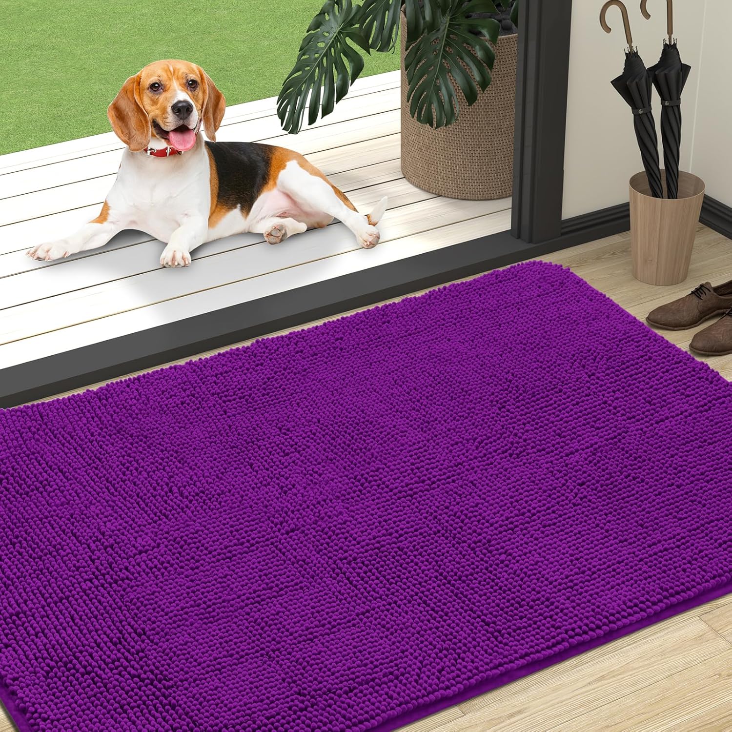 OLANLY Dog Door Mat for Muddy Paws 70x24, Absorbs Moisture and Dirt, Absorbent Non-Slip Washable Doormat, Quick Dry Chenille Mud Mat for Dogs, Entry Indoor Entryway Carpet for Inside Floor, Beige