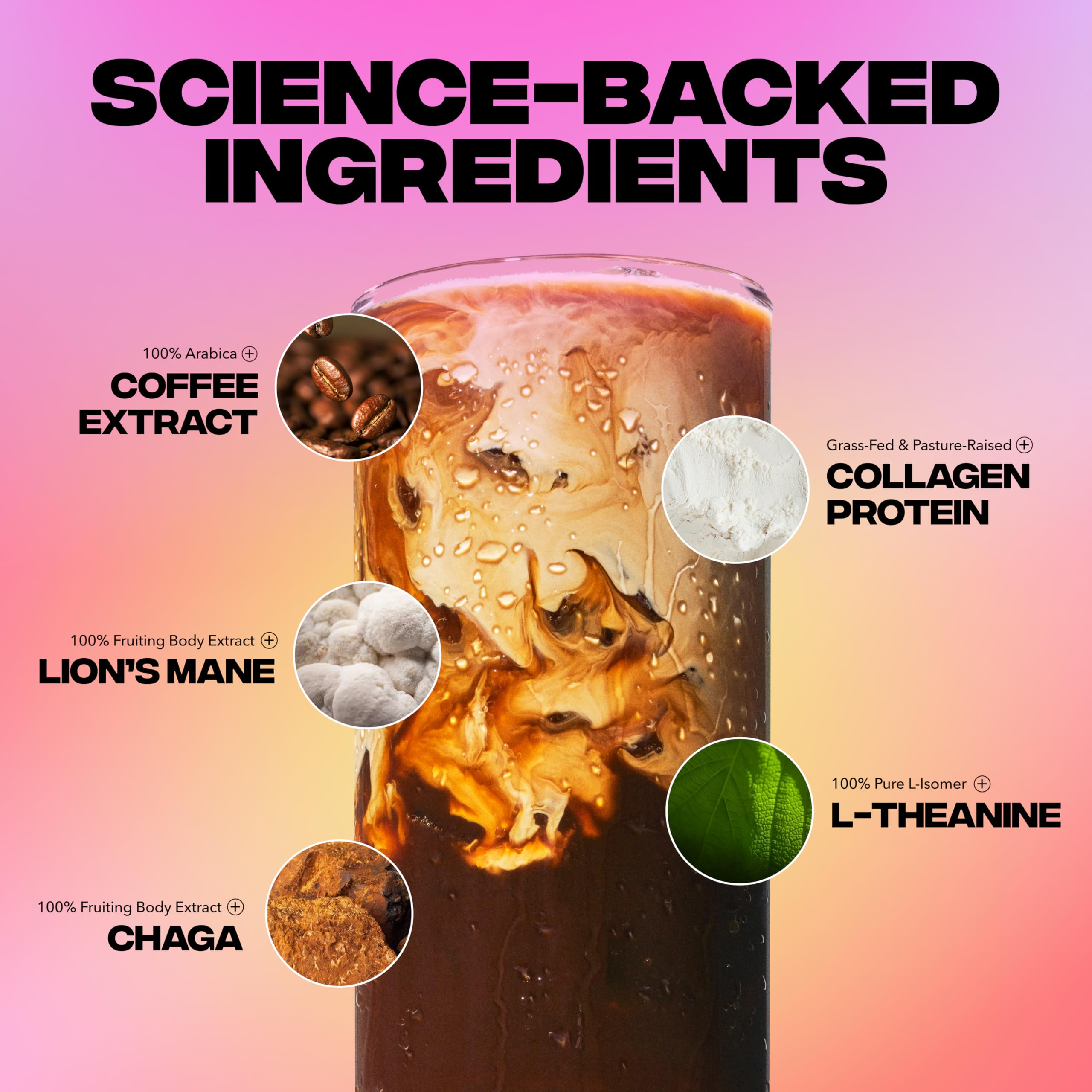 Everyday Dose Bold Medium Roast Mushroom Coffee 90mg Caffeine per serving with Grass-Fed Collagen, Chaga, Lions Mane & L-Theanine for Better Focus, Energy, Digestion, Skin, and Immunity 30 Servings