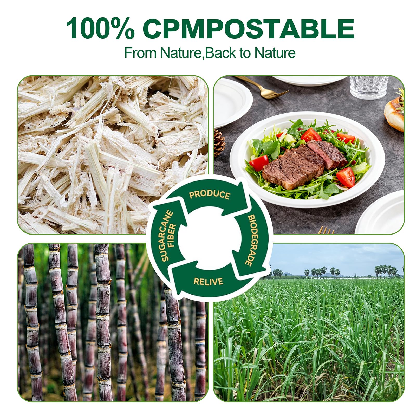 DaYammi 100% Compostable Oval Paper Plates 12 Inch, 60-Pack Heavy Duty Paper Plates Bulk,Biodegradable Bagasse,Eco-Friendly Disposable Dinner Plate for BBQ,Picnic,Party (BPI Certified,Microwaveable)