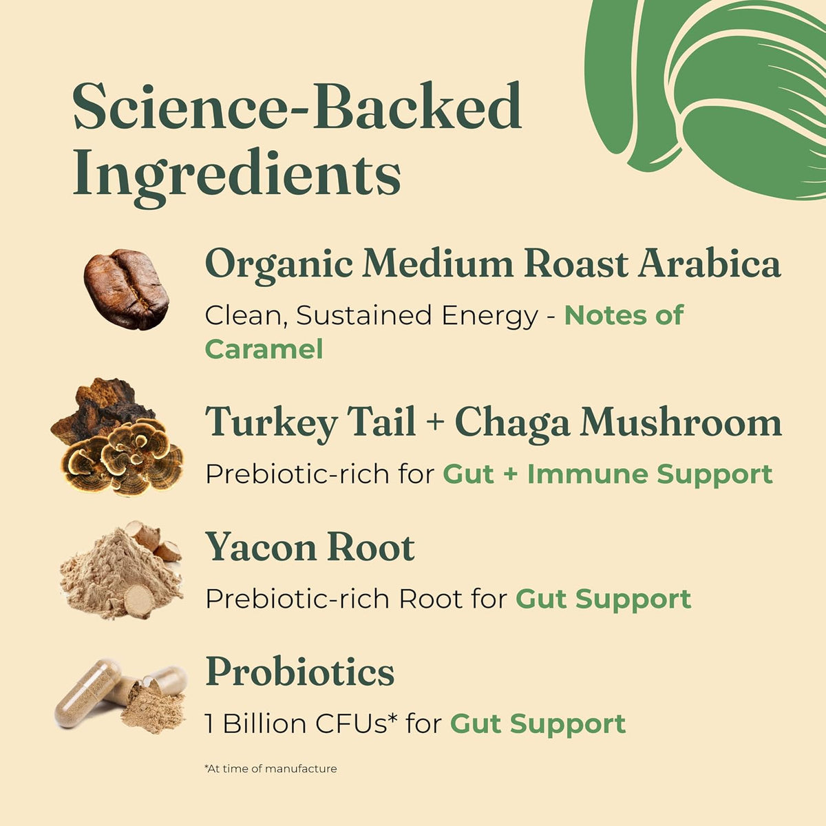 Four Sigmatic Gut Health Organic Ground Coffee | Medium Roast, Immune Boosting Probiotic Mushroom Coffee with Chaga & Turkey Tail for Gut Health & Immune Support | 12oz Bag
