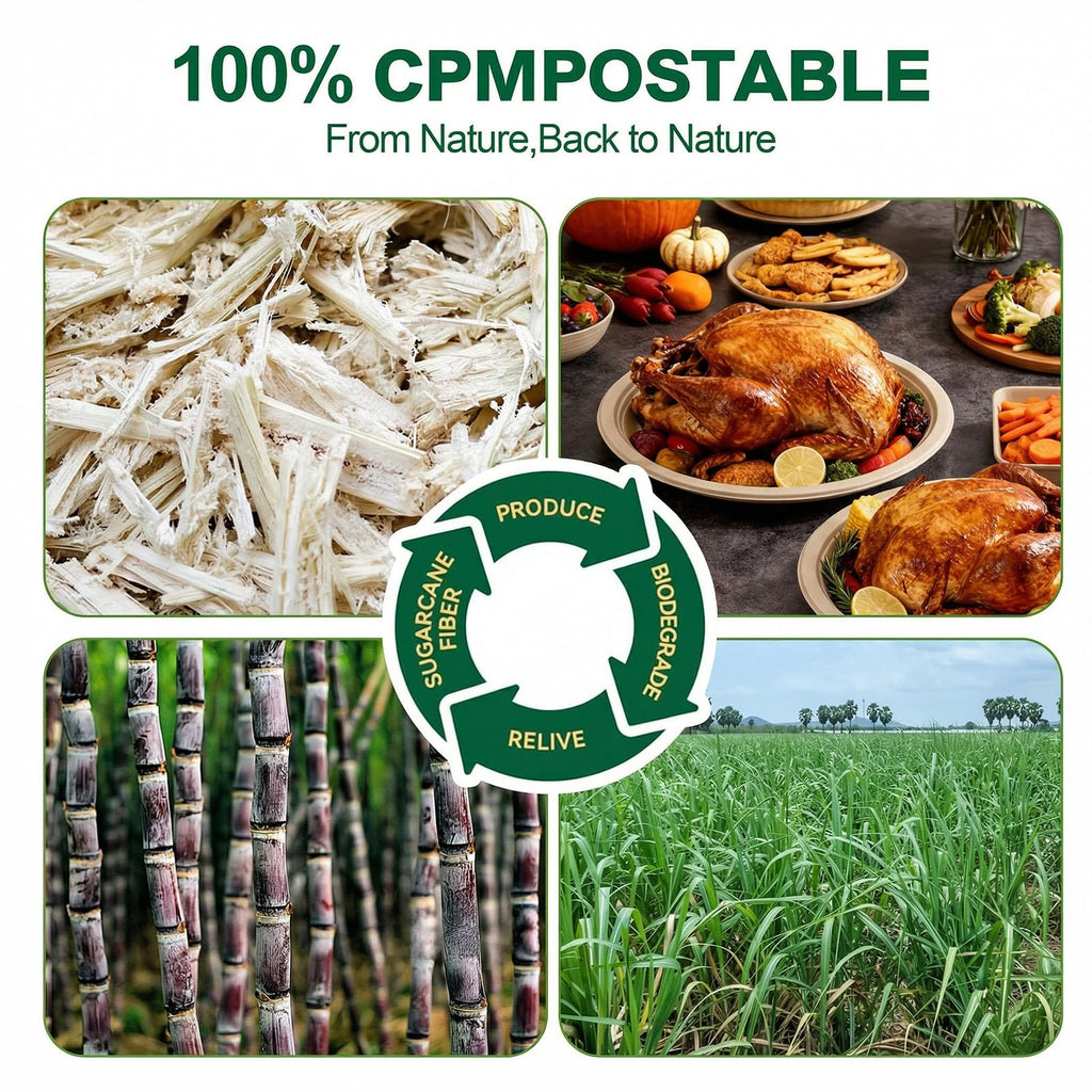 DaYammi 100% Compostable Oval Paper Plates 12 Inch, 60-Pack Heavy Duty Paper Plates Bulk,Biodegradable Bagasse,Eco-Friendly Disposable Dinner Plate for BBQ,Picnic,Party (BPI Certified,Microwaveable)