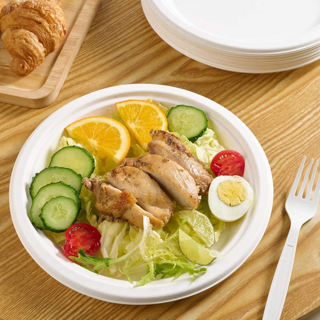 Vplus 500 Pack Compostable Disposable Paper Plates 9 inch and 200 Pack 12 OZ Paper Bowls