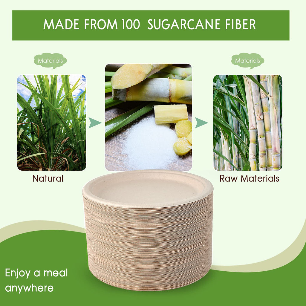 Vplus 150 Pack Compostable Disposable Paper Plates 10.25 inch Super Strong Paper Plates 100% Bagasse Natural Biodegradable Eco-Friendly Sugarcane(white)