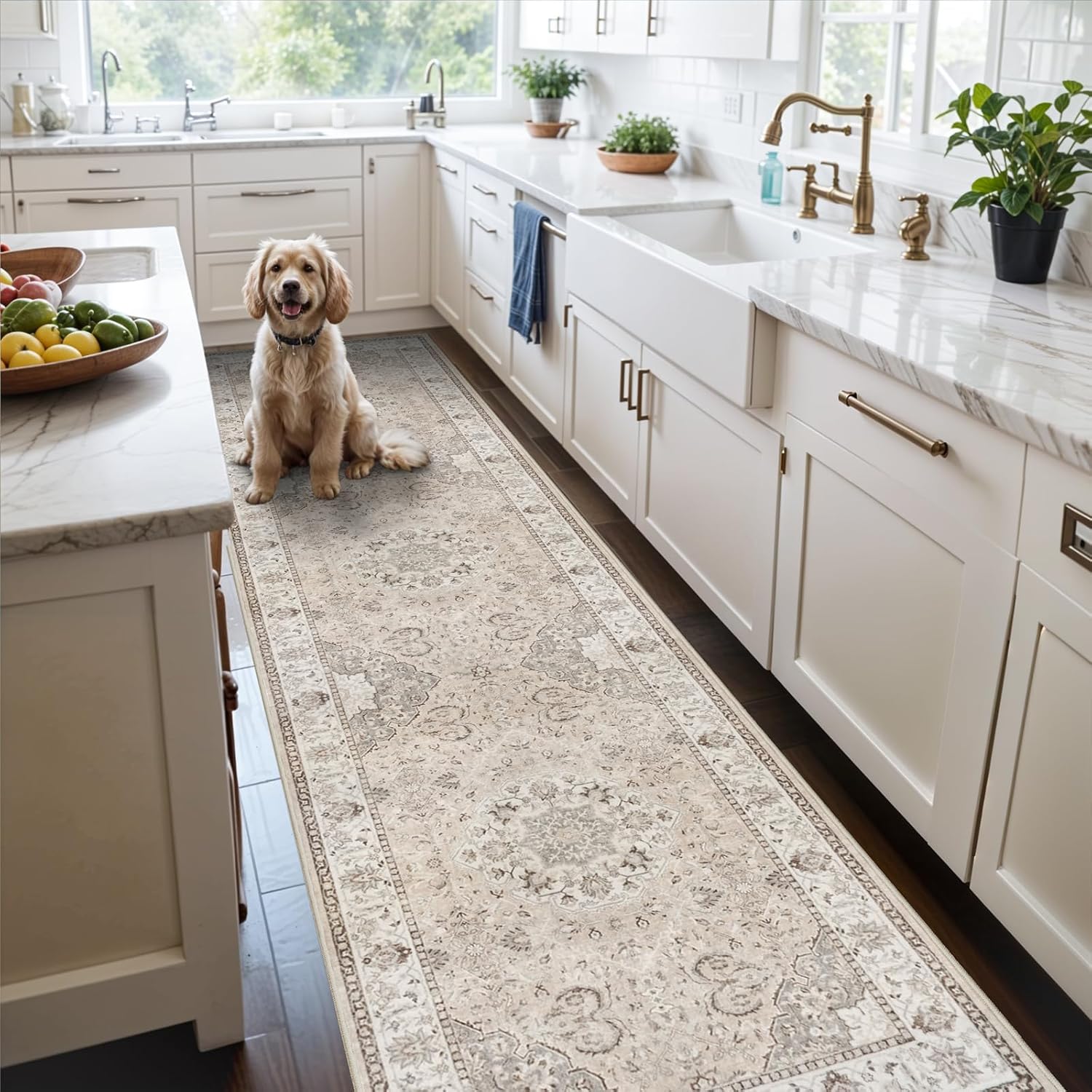 Washable 2x3 Entryway Area Rug - Neutral Kitchen Rug Runner Vintage Soft Floor Mat Non Slip Indoor Farmhouse Carpet for Bathroom Living Room Bedroom (2 X 3, Beige)