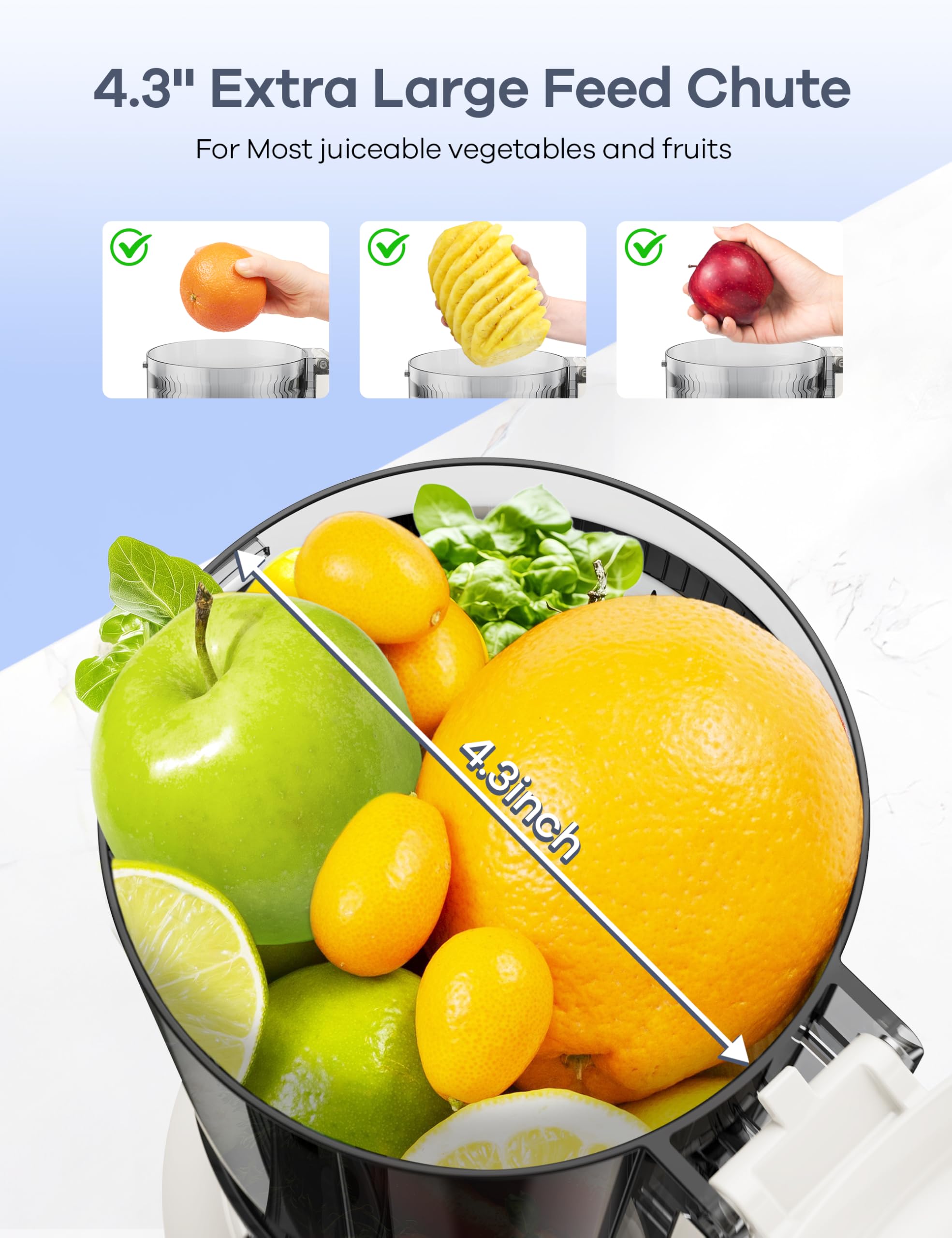 Ganiza Juicer Machines, Slow Masticating Juicers with Large Feed Chute for Whole Fruits & Vegetables, Cold Press Juicer with 3 Replace Filters for Batch Juicing, Easy to Clean, BPA Free(Silver)