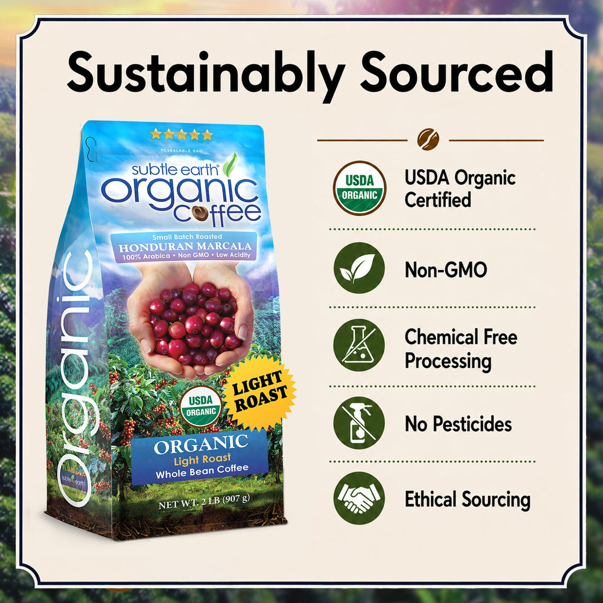 2LB Subtle Earth Organic Coffee - Dark Roast - Whole Bean Coffee - 100% Arabica Beans - Low Acidity and Non-GMO - 2lb bag
