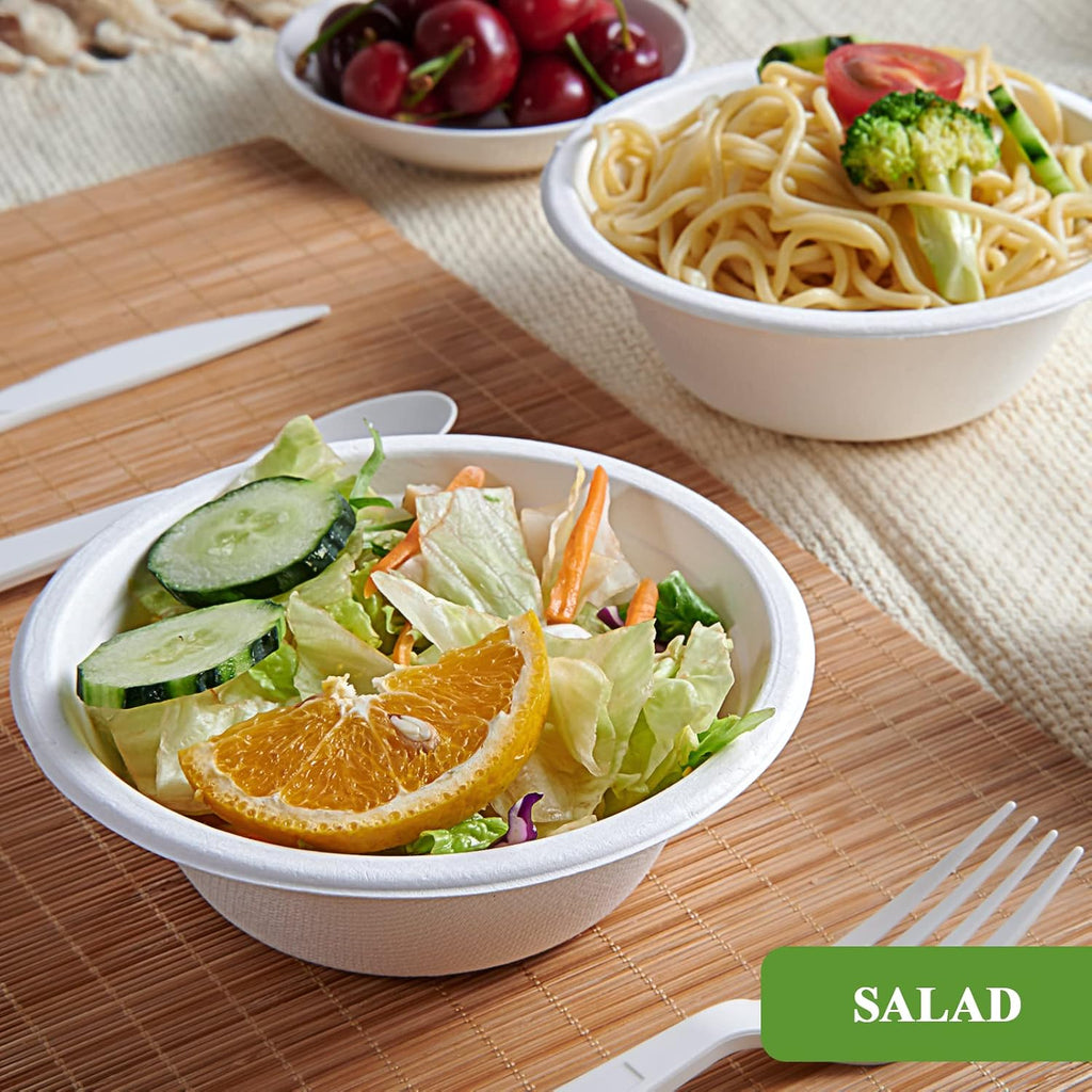 Vplus 500 Pack Compostable Disposable Paper Plates 9 inch and 200 Pack 12 OZ Paper Bowls