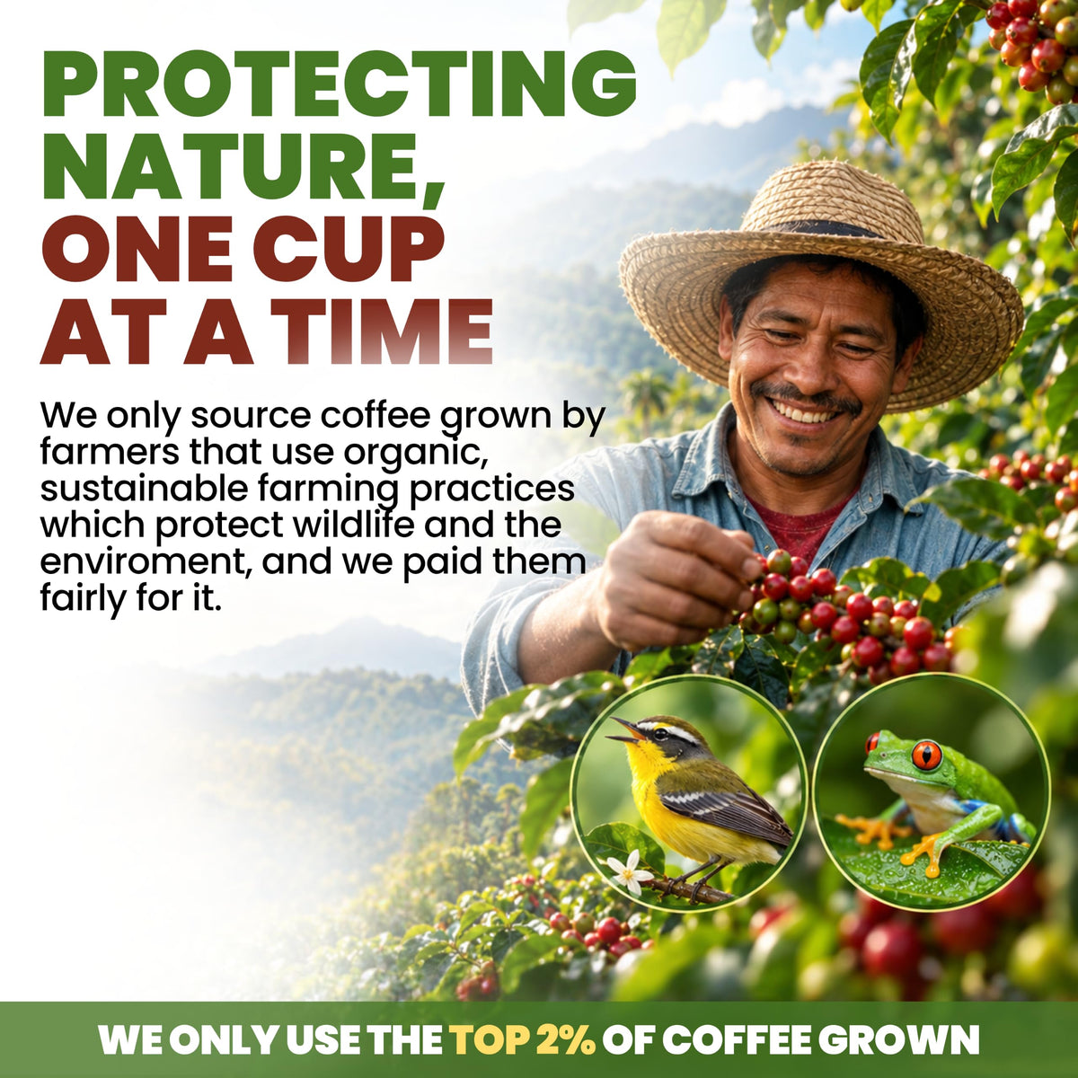 Java Planet Low Acid Organic Espresso Whole Bean Coffee 16oz