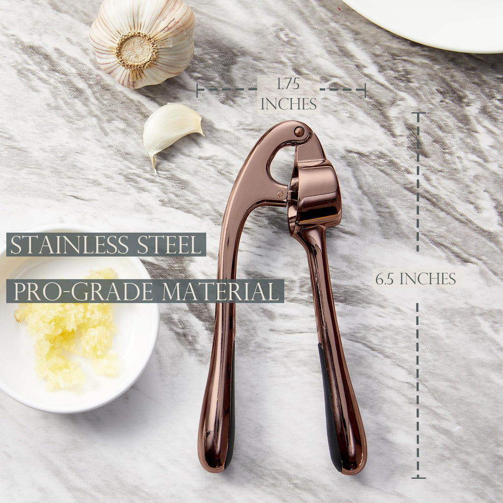 Kitessensu High Effective Garlic Press With Studs, Heavy Duty Garlic Mincer, Easy to Squeeze and Clean, Rust Proof & Dishwasher Safe, Ginger Crusher- Imperial Silver