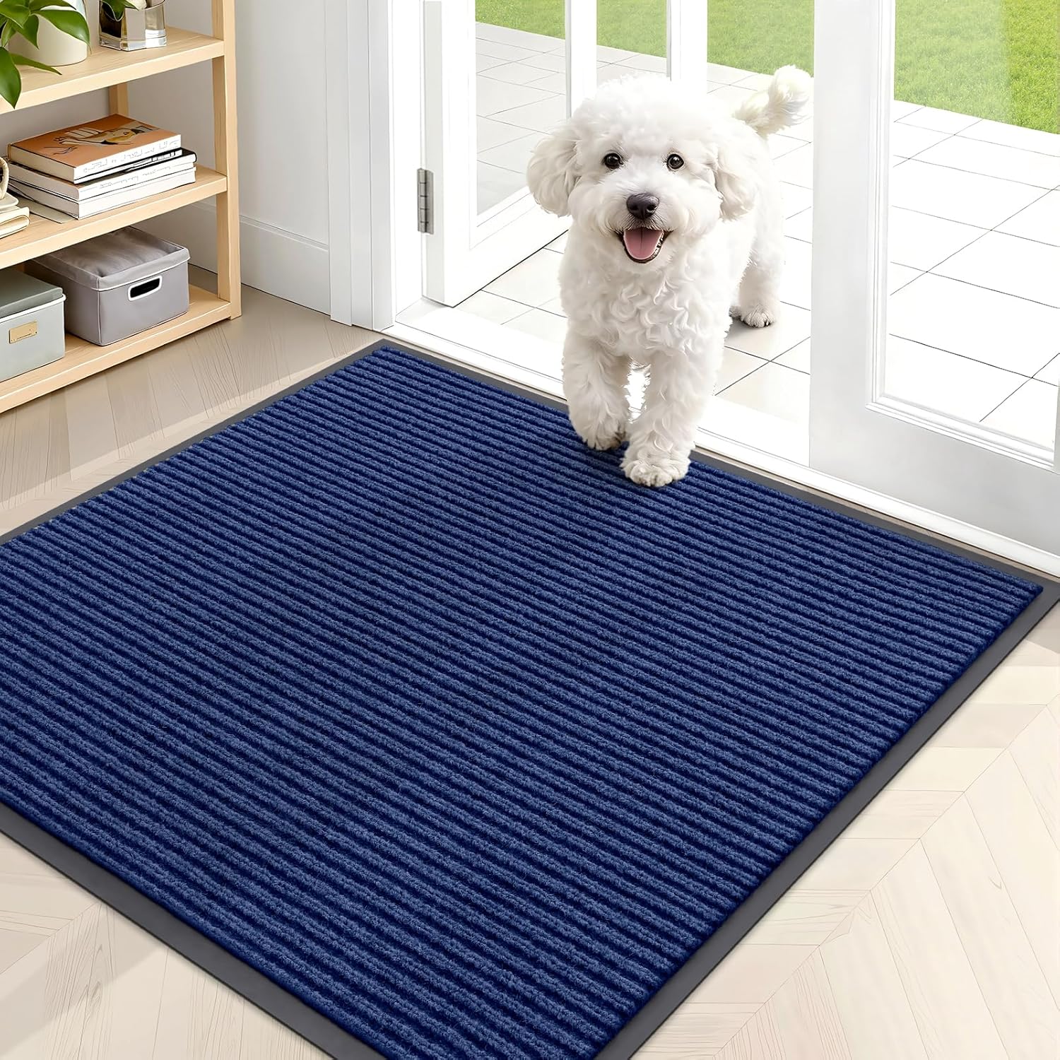 OLANLY Front Door Mat Indoor Outdoor Entrance, Waterproof Heavy Duty Doormat, Fade Resistant, Low Profile, Easy Clean Patio Porch Welcome Floor Mats for Entry, 29.5x17, Beige