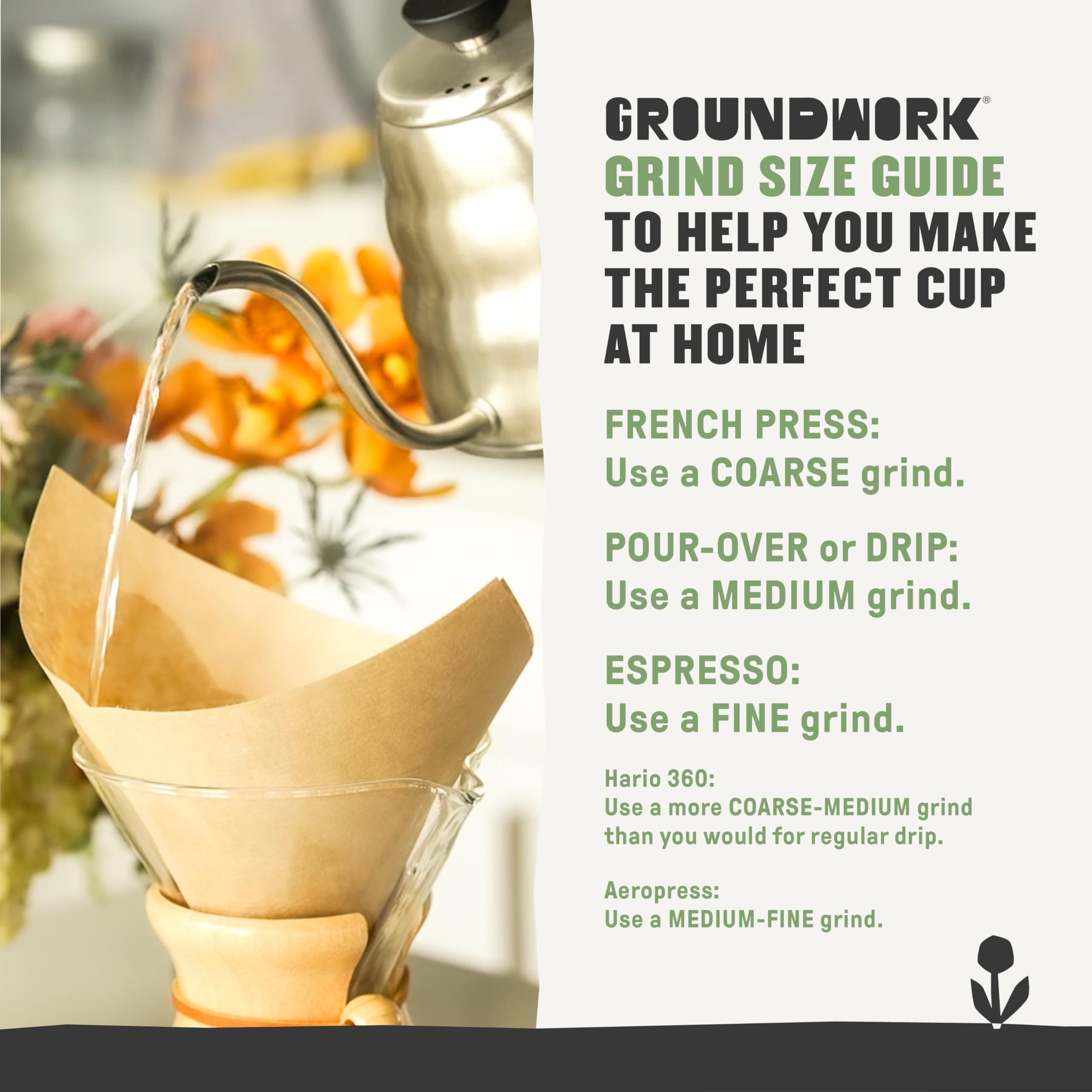 GROUNDWORK Ethiopia Heirloom Blend - Whole Bean Coffee Light Roast - USDA Organic Single Origin Coffee - 12oz (Pack of 1)