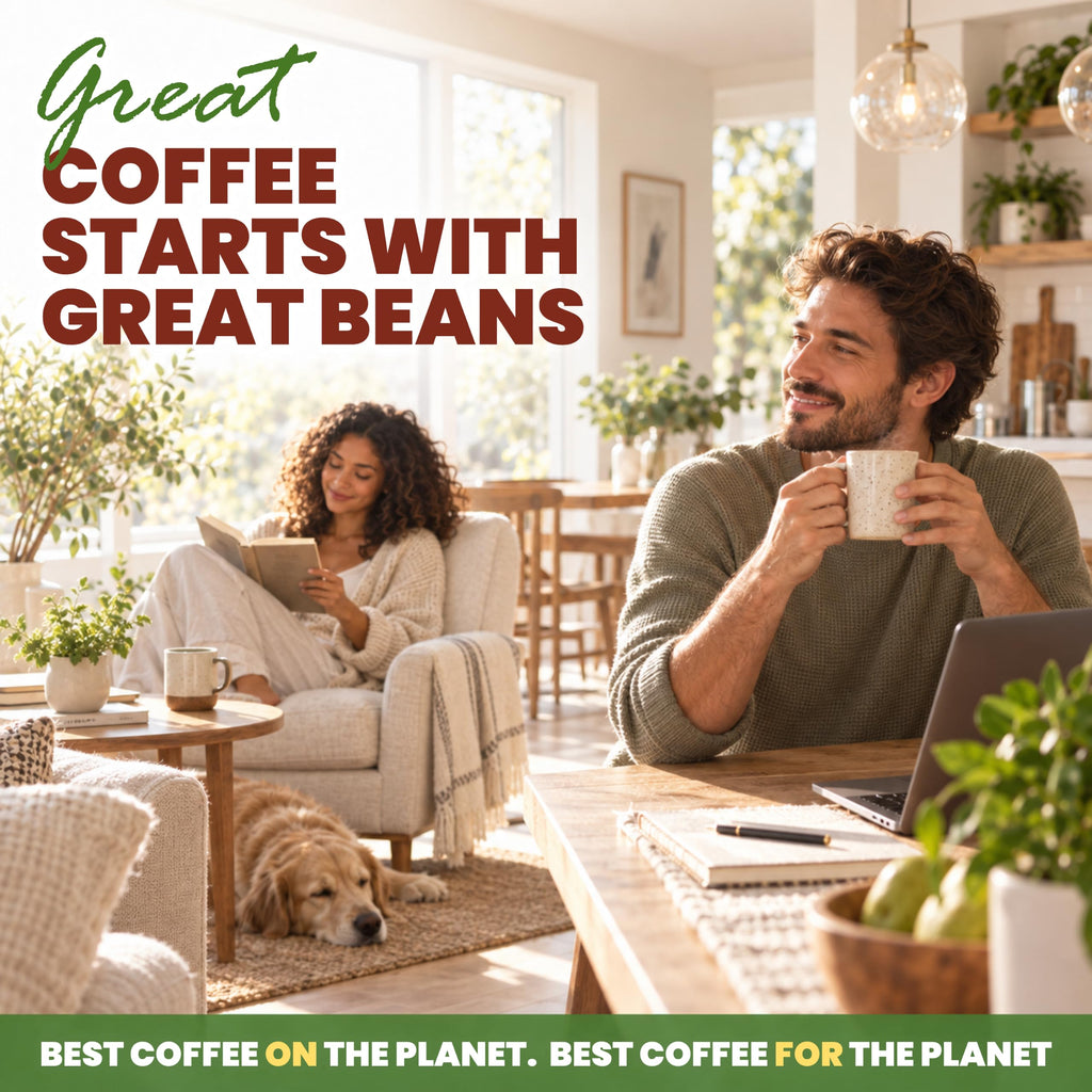Java Planet Low Acid Organic Espresso Whole Bean Coffee 16oz