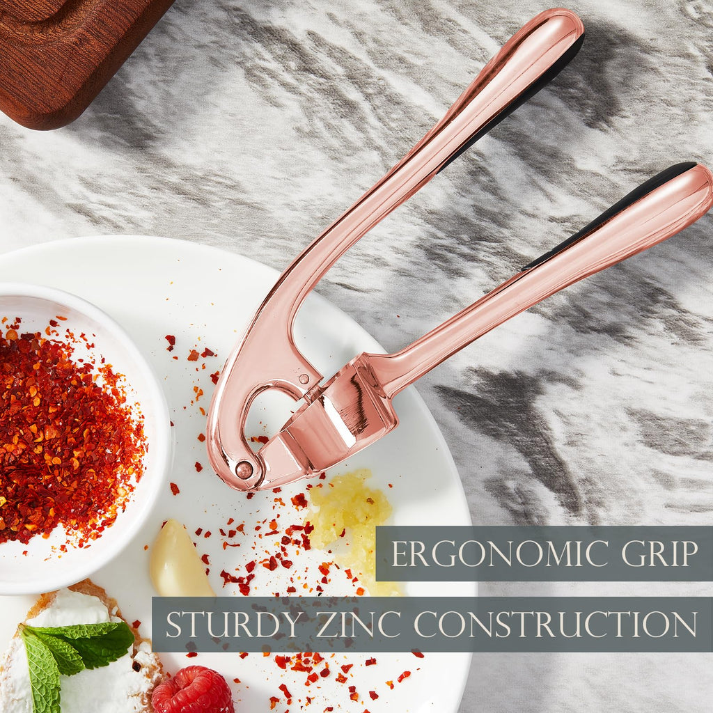 Kitessensu High Effective Garlic Press With Studs, Heavy Duty Garlic Mincer, Easy to Squeeze and Clean, Rust Proof & Dishwasher Safe, Ginger Crusher- Imperial Silver