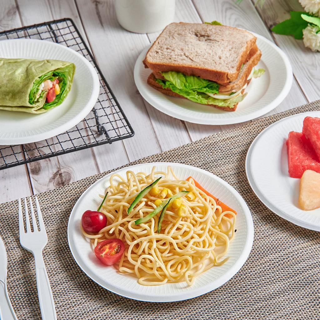 Vplus 100% Compostable Small Paper Plates, 300 Pack 6 Inch Disposable Paper Plates, Uncoated Biodegradable, Made of Sugar Cane Fibers, Perfect for Sandwich, Cake, and Snack