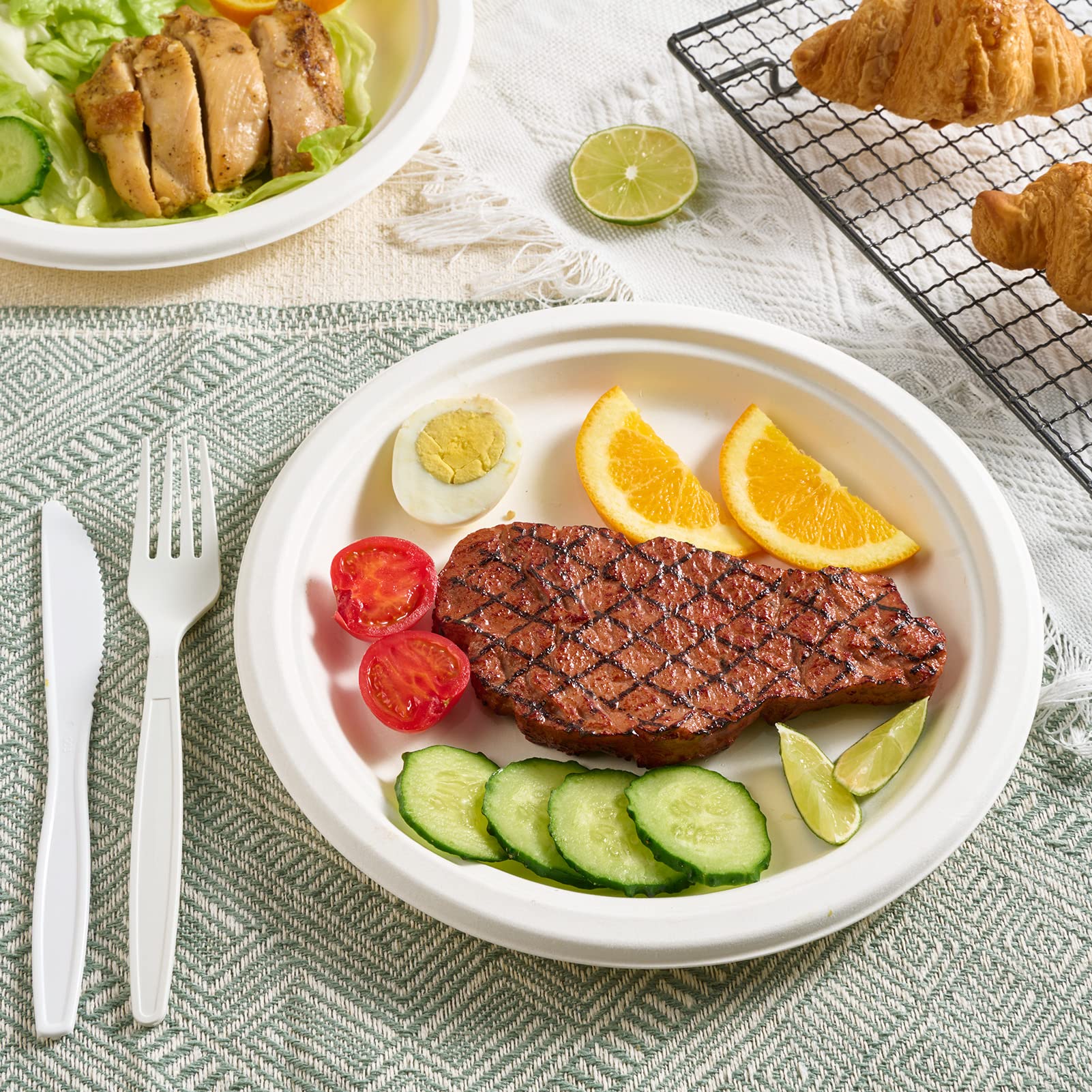 Vplus 150 Pack Paper Plates 9 inch 100% Compostable, Heavy-Duty Disposable Paper Plates Bagasse Natural Biodegradable Eco-Friendly Sugarcane
