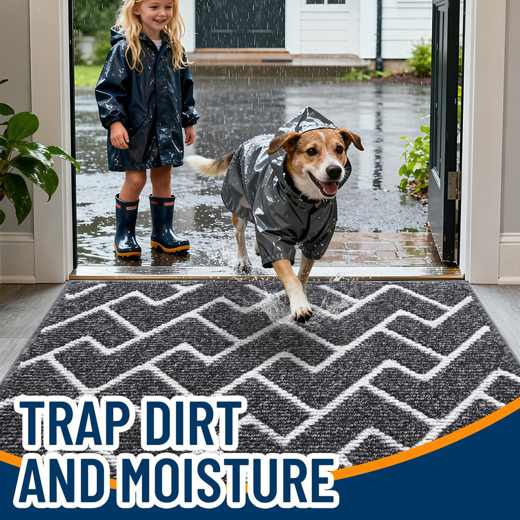 OLANLY Front Door Mat, Non-Slip Rubber Backing, Dirt Resistant and Absorbent, Washable, Easy to Clean Low-Profile Indoor Doormat for Back Door, Entryway, Inside Entrance, 32x20, Grey